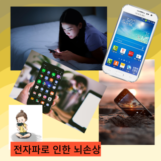 핸드폰전자파 뇌건강에 치명적일 수 있을까?