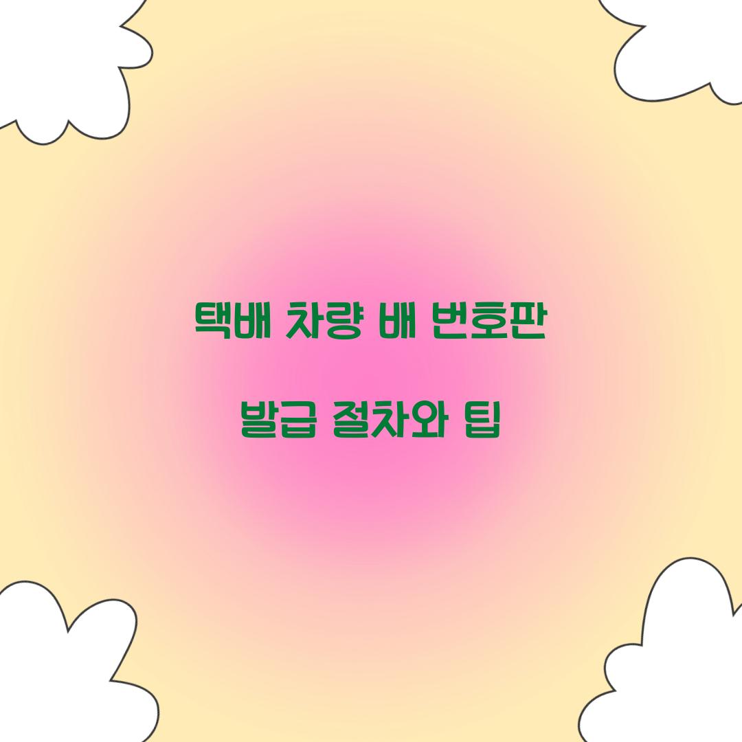 택배 차량 배 번호판 발급