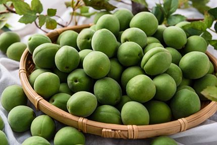 매실 효능 및 부작용, 먹는 방법