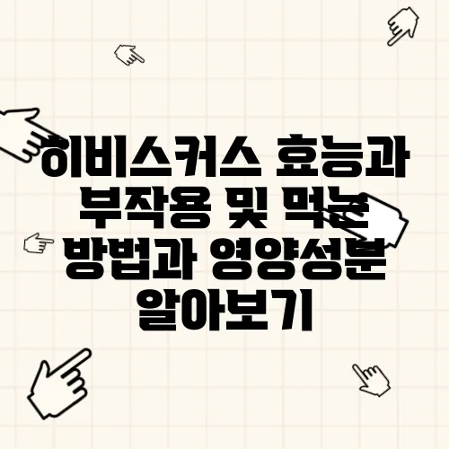 히비스커스 효능과 부작용 및 먹는 방법과 영양성분 알아보기