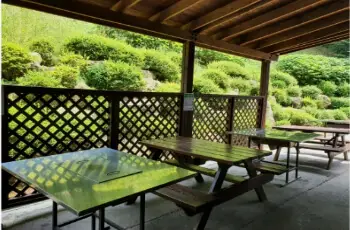 용인 자연휴양림_19