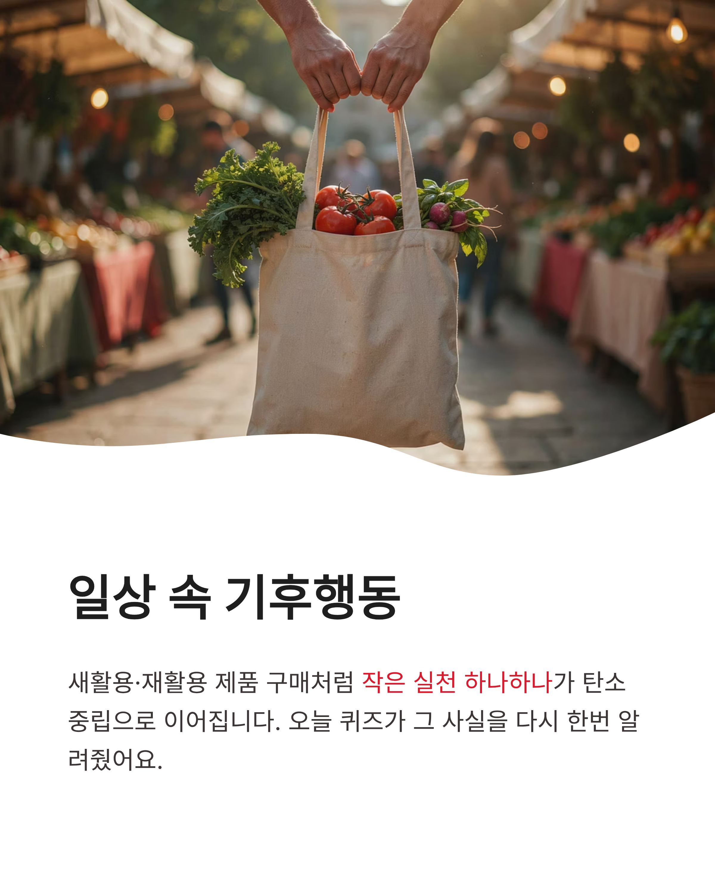 8월 7일 기후동행(기후행동) 퀴즈정답 완벽정리!! 오늘의 정답 바로 확인