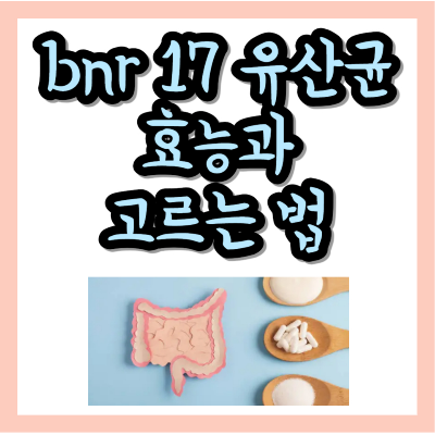 bnr17유산균
