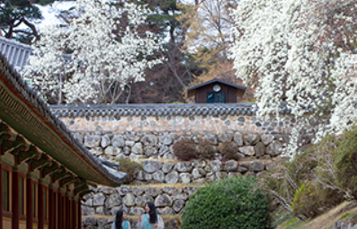 2024 숙박세일 페스타 숙박할인 쿠폰 발급 사용방법(3만원 할인)