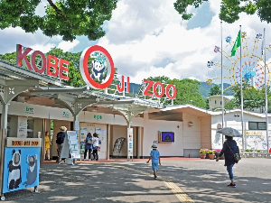 고베 여행 추천 고베 시립 오지동물원