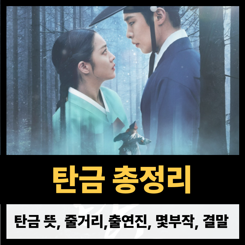 탄금 뜻 줄거리 등장인물 몇부작 결말 ott 시청률