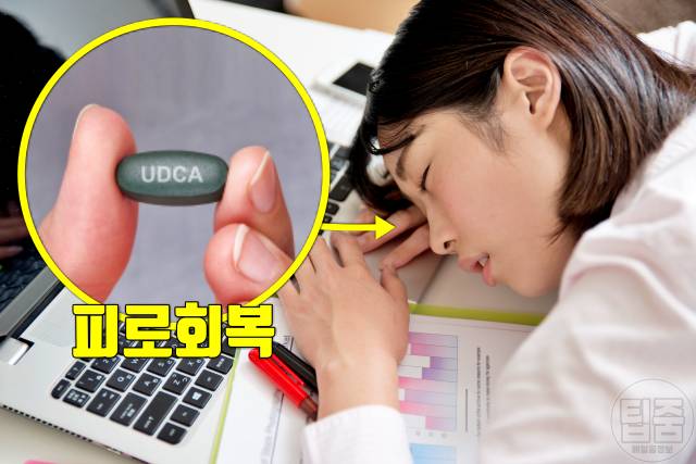 우루사 효능 간영양제 udca 효과 피로회복