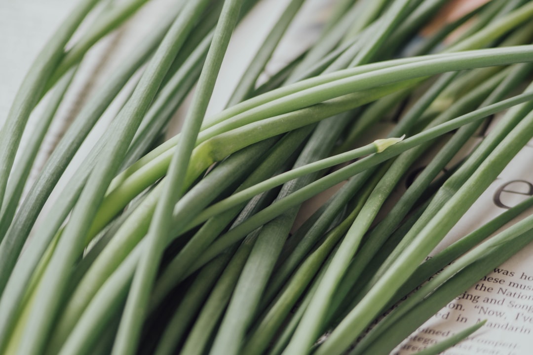 Garlic chives