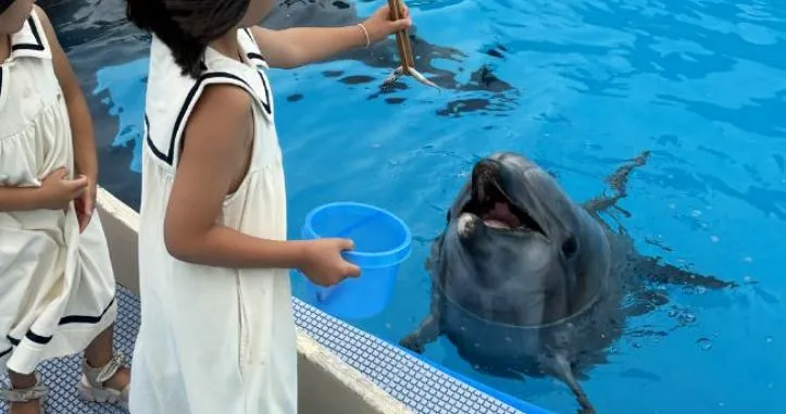 후쿠오카-마린월드-우미노나카미치-수족관-돌고래에게-먹이주는-아이