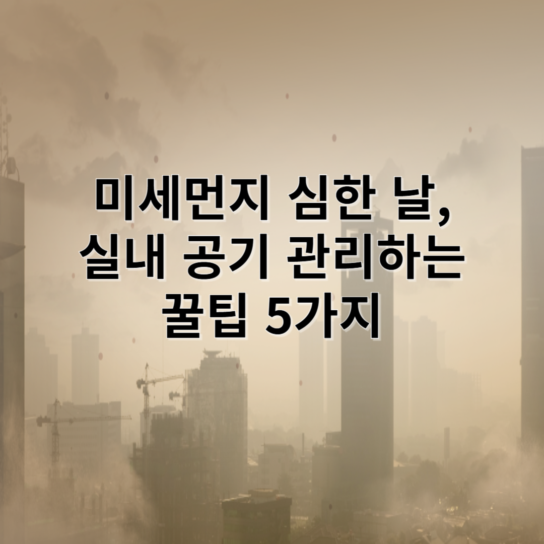 미세먼지 심한 날, 실내 공기 관리하는 꿀팁 5가지