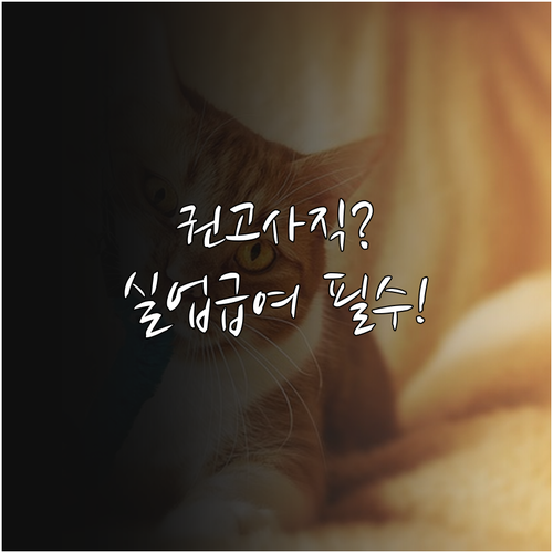권고사직 실업급여 자격 조회와 워크넷..
