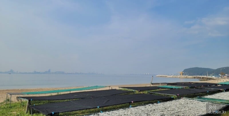 소리꿈 꿈해몽 10가지 태몽 길몽 길운 정리 두번째