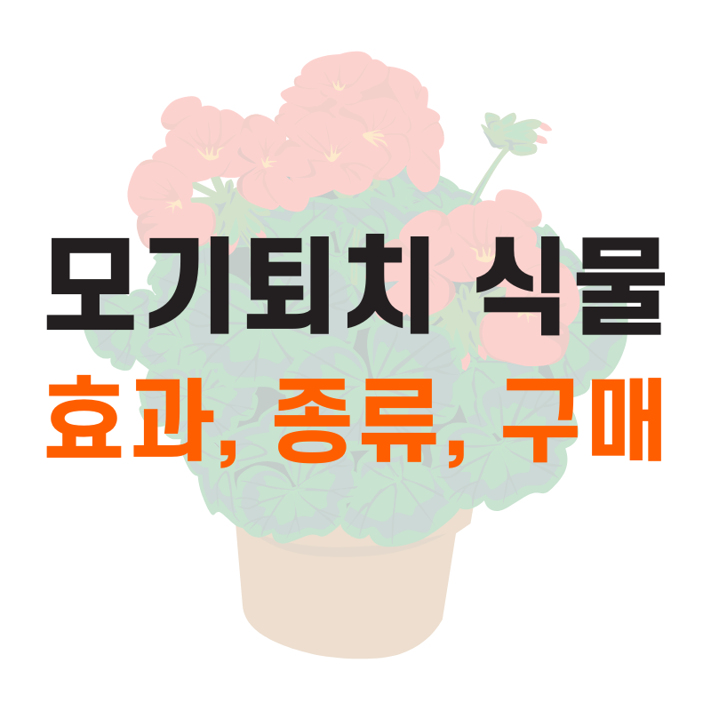 모기퇴치 식물