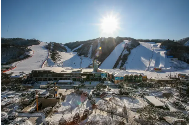 스키장 개장일정