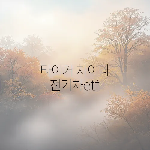 타이거 차이나 전기차etf