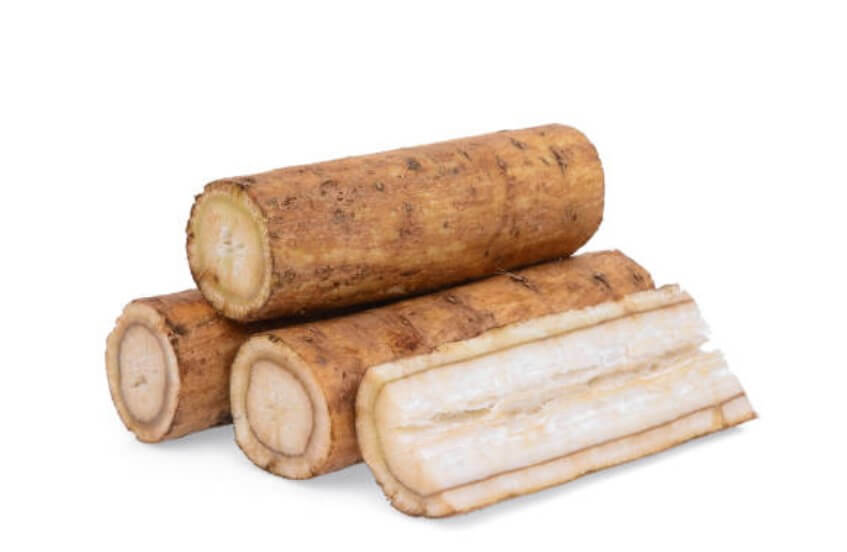 우엉제철시기 우엉품종