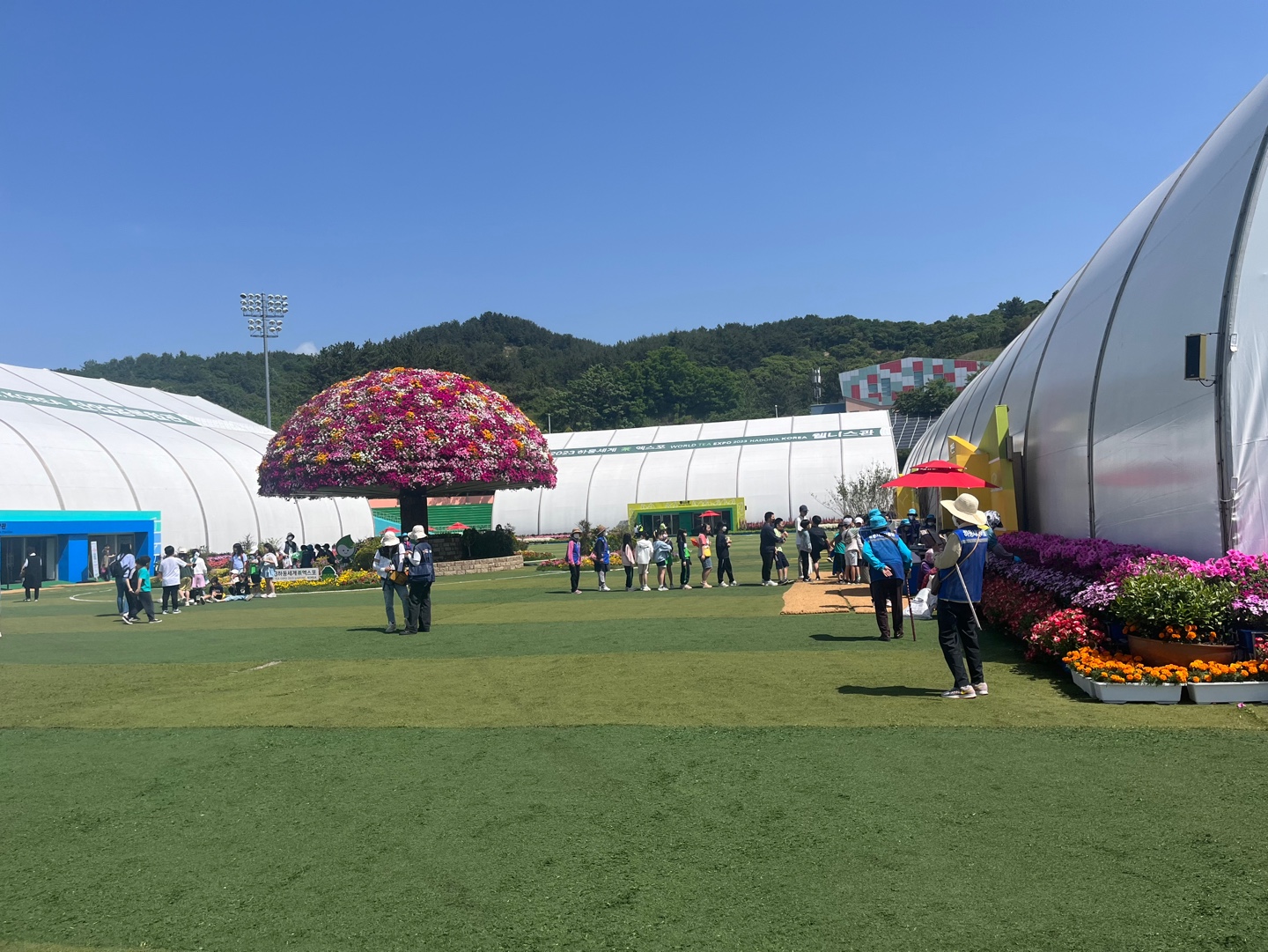 하동 세계 차 엑스포