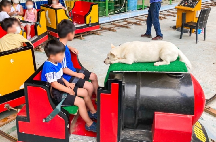 제천 워터파크캠핑랜드