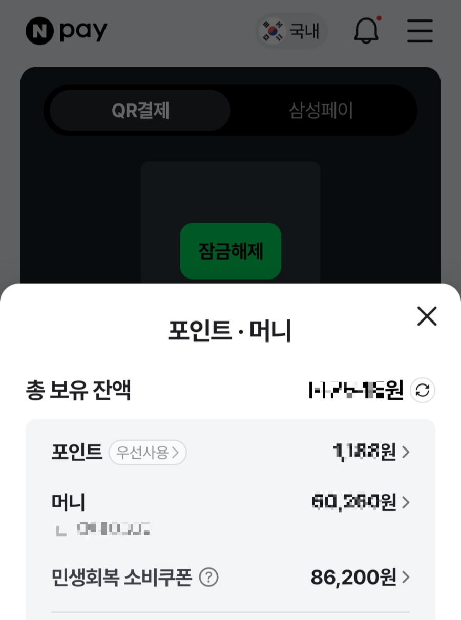 민생회복소비쿠폰 포인트 잔액확인