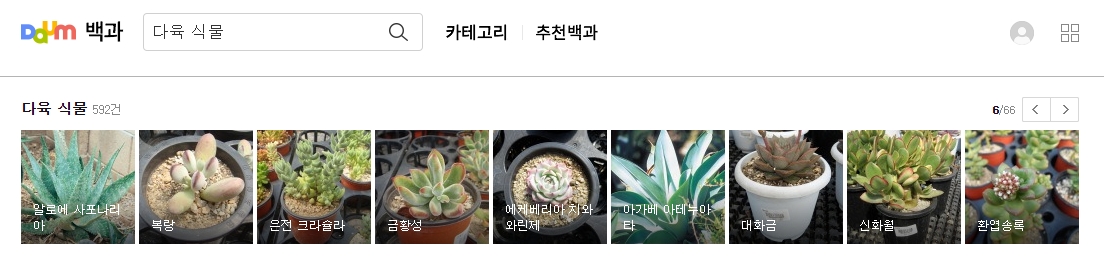 알로에 사포나리아와 복랑 사진과 이름