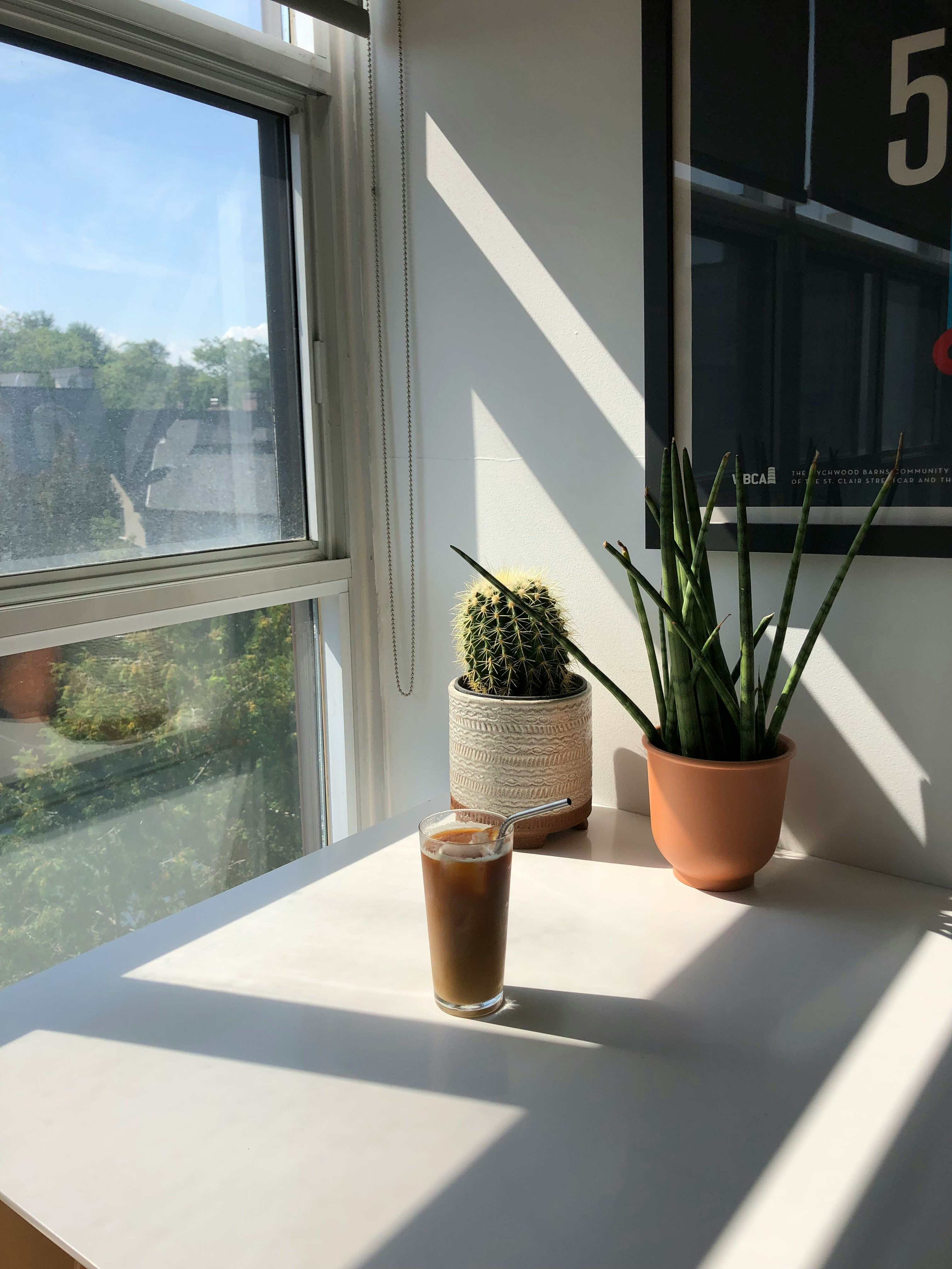 창가에 놓인 커피와 햇살 관련 사진