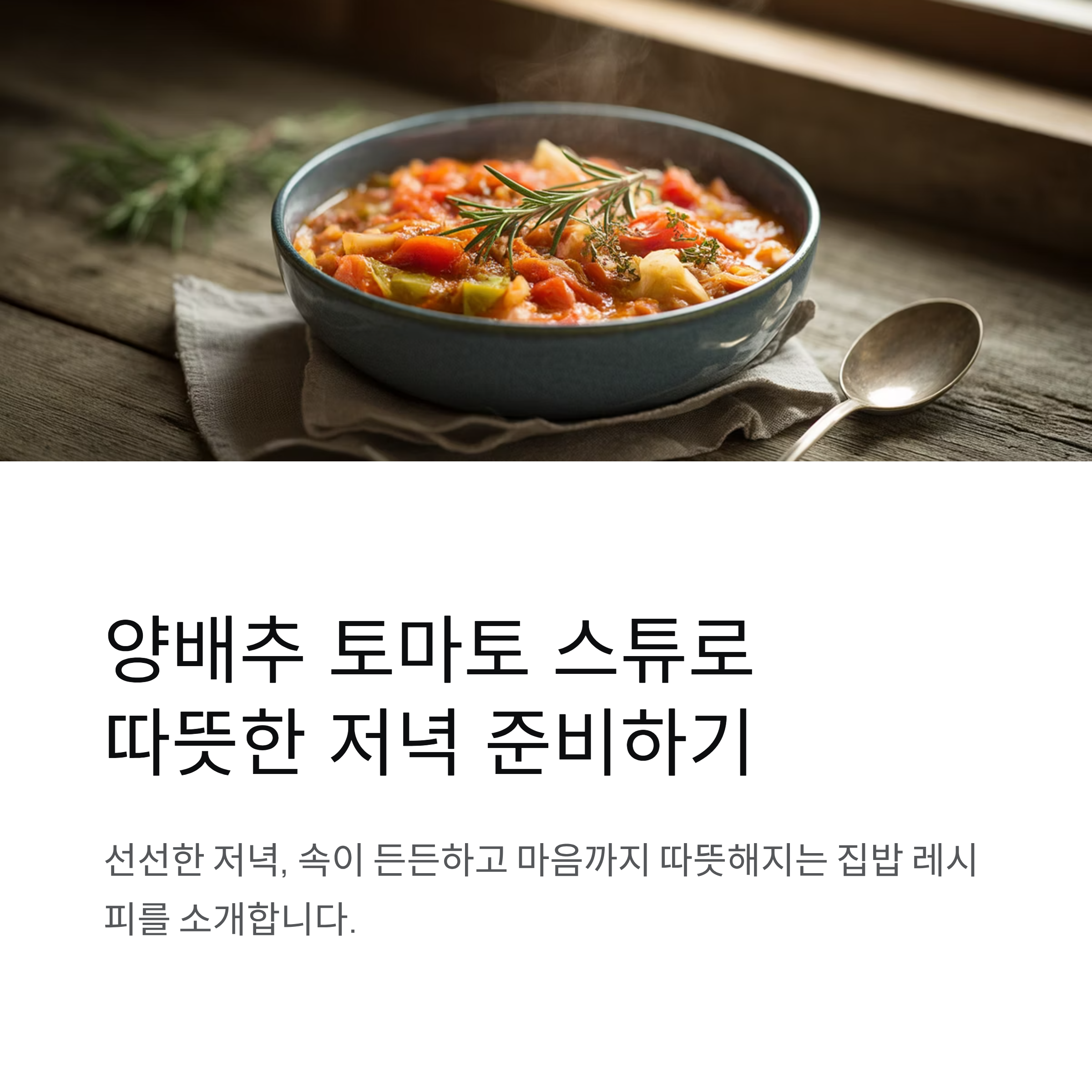 양배추 토마토 스튜로 따뜻한 저녁 준비하기