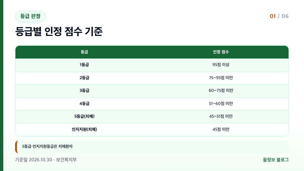 장기요양등급 판정 점수 기준 1등급 95점 이상부터 인지지원등급 45점 미만까지 표
