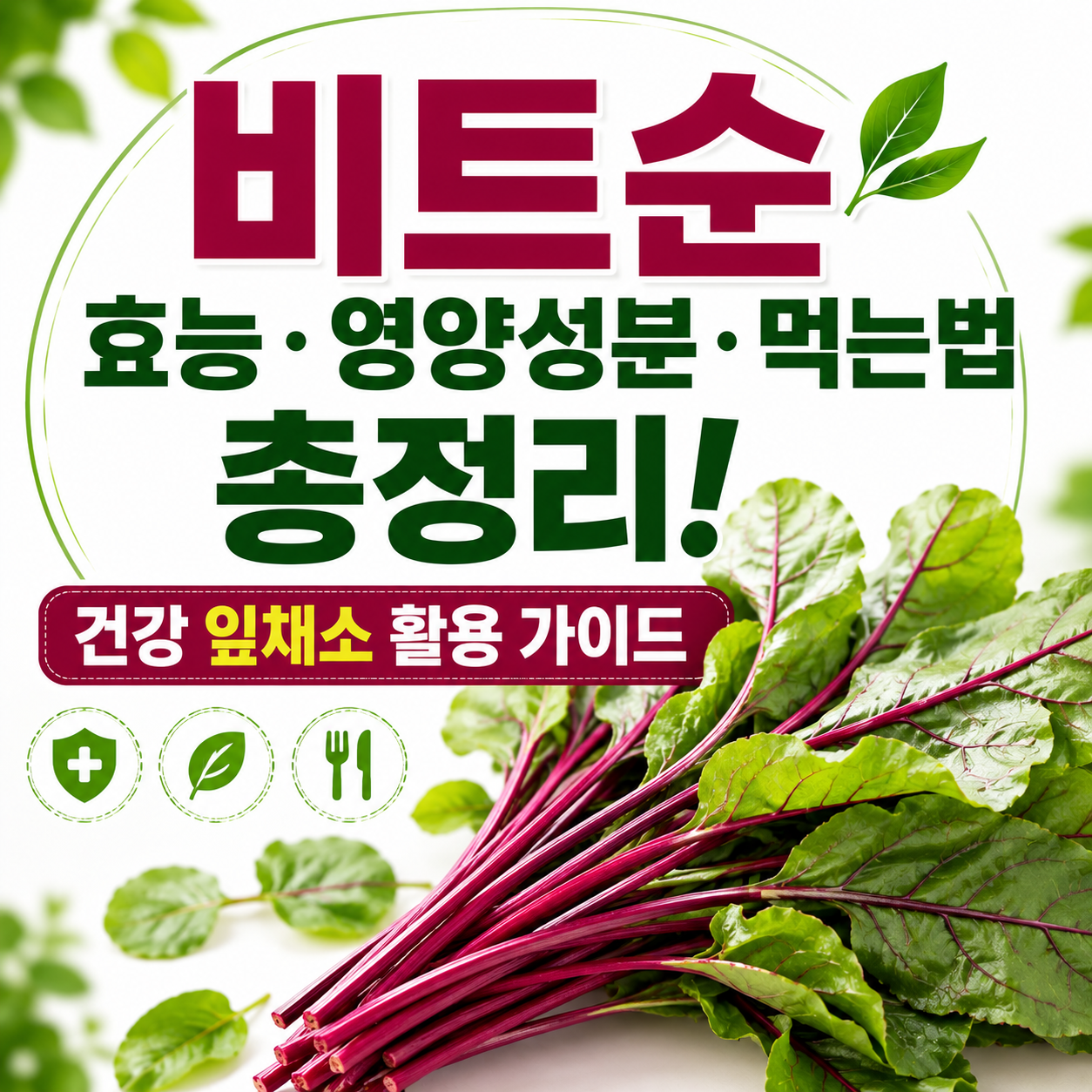 비트순 효능