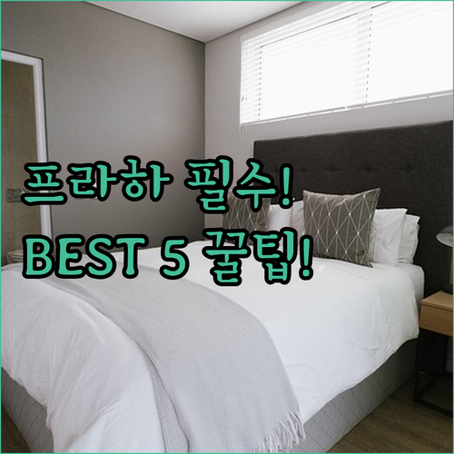 인스타 감성 핫플 가족여행 필수 프라..