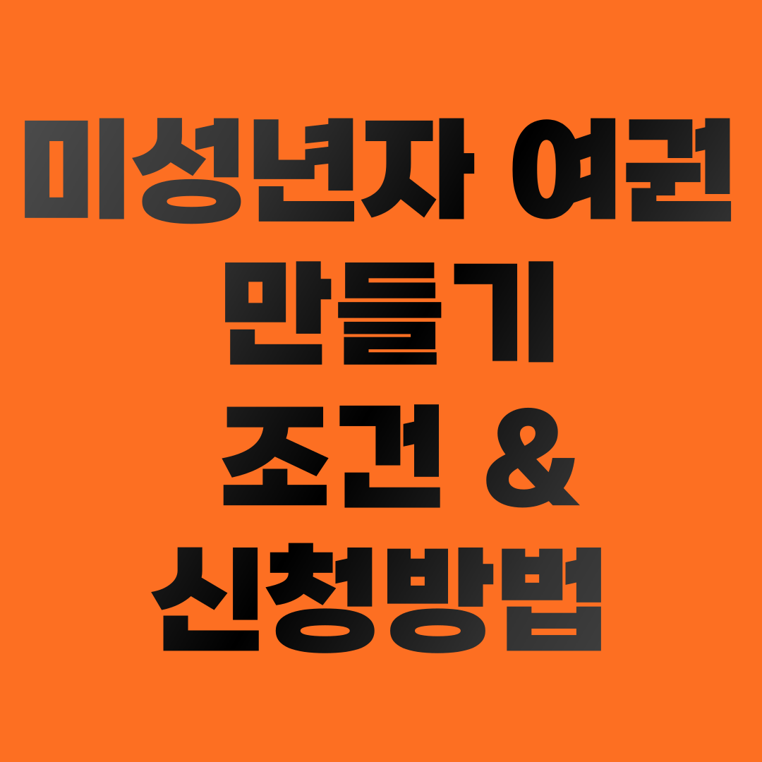 미성년자 여권 만들기 조건과 신청 방법
