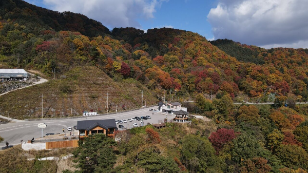 카페오도재 해발700m