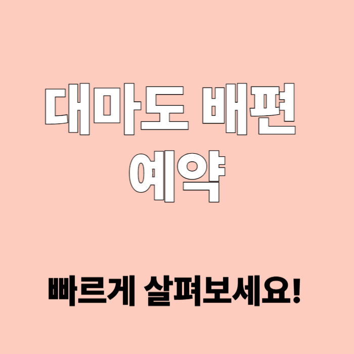 대마도 배편 예약