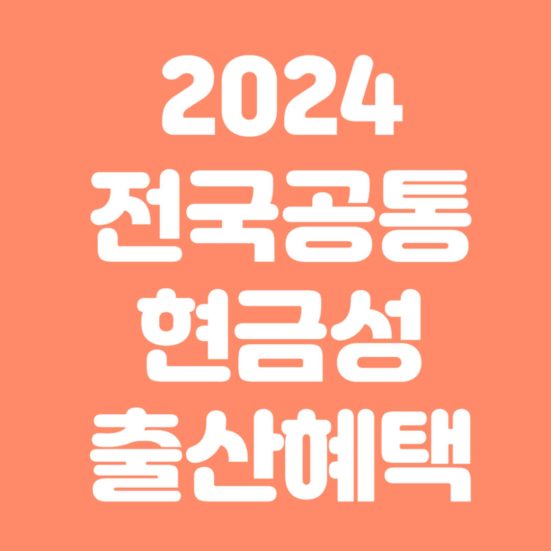 2024년출산혜택