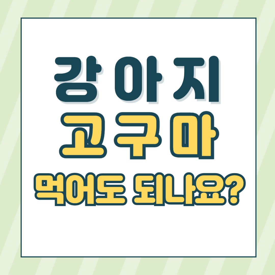 강아지고구마