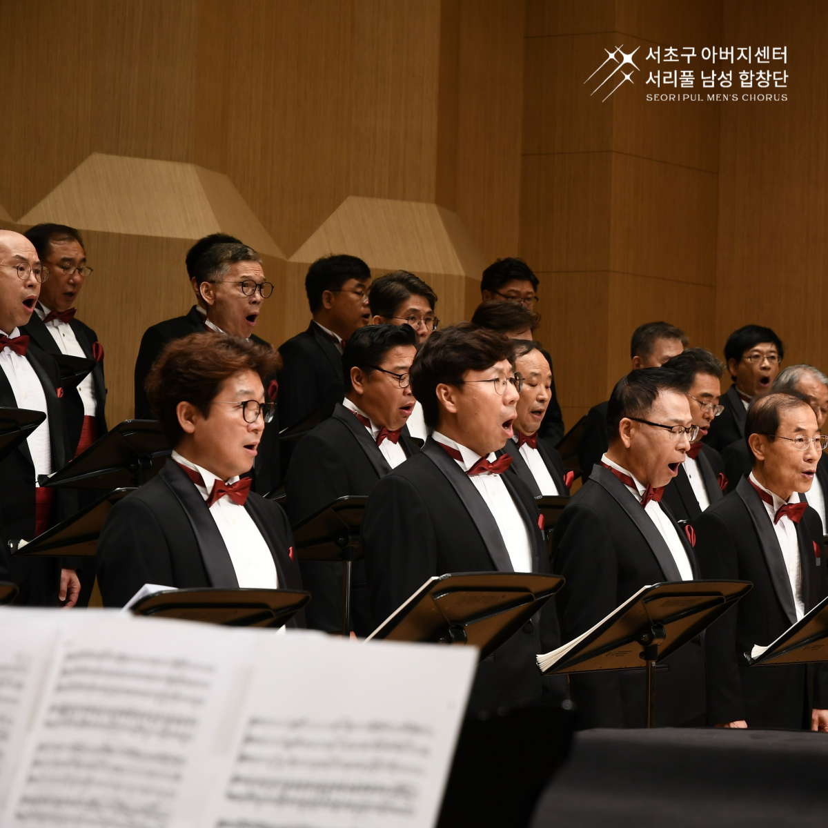 성악 크래스 이미지