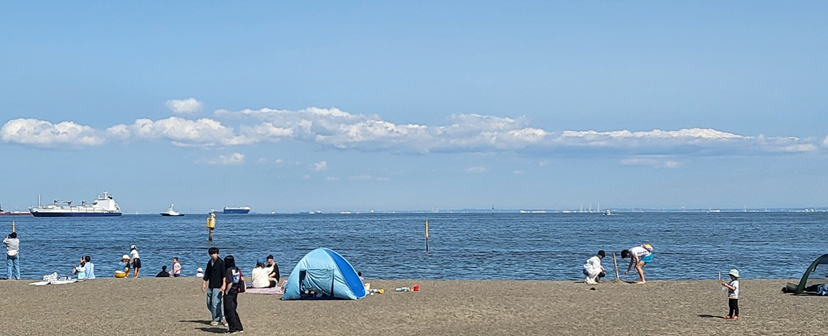 집근처 바닷가에서 피크닉