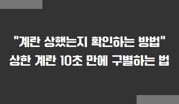 상한 계란 확인 방법, 계란 상했는지 확인하는 방법