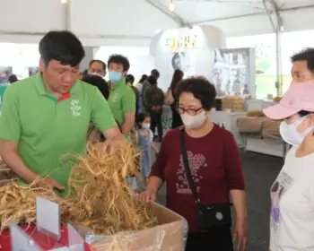 금산 인삼축제_7