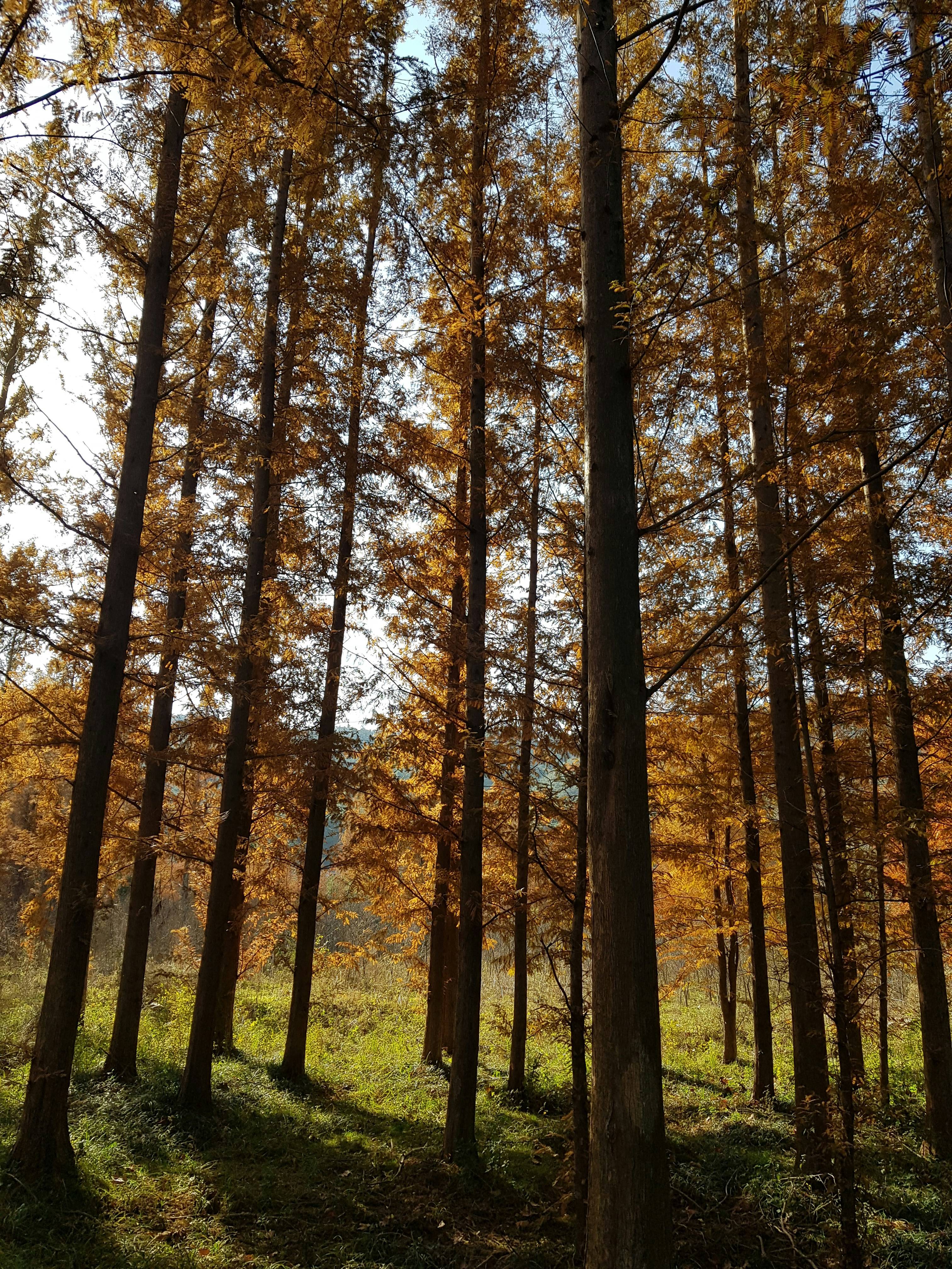 APEC 뜻 완벽 정리|아시아태평양경제협력체란? 21개국이 함께 만드는 세계 경제 협력의 중심