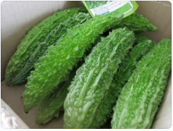 당뇨에 좋은 여주의 효능