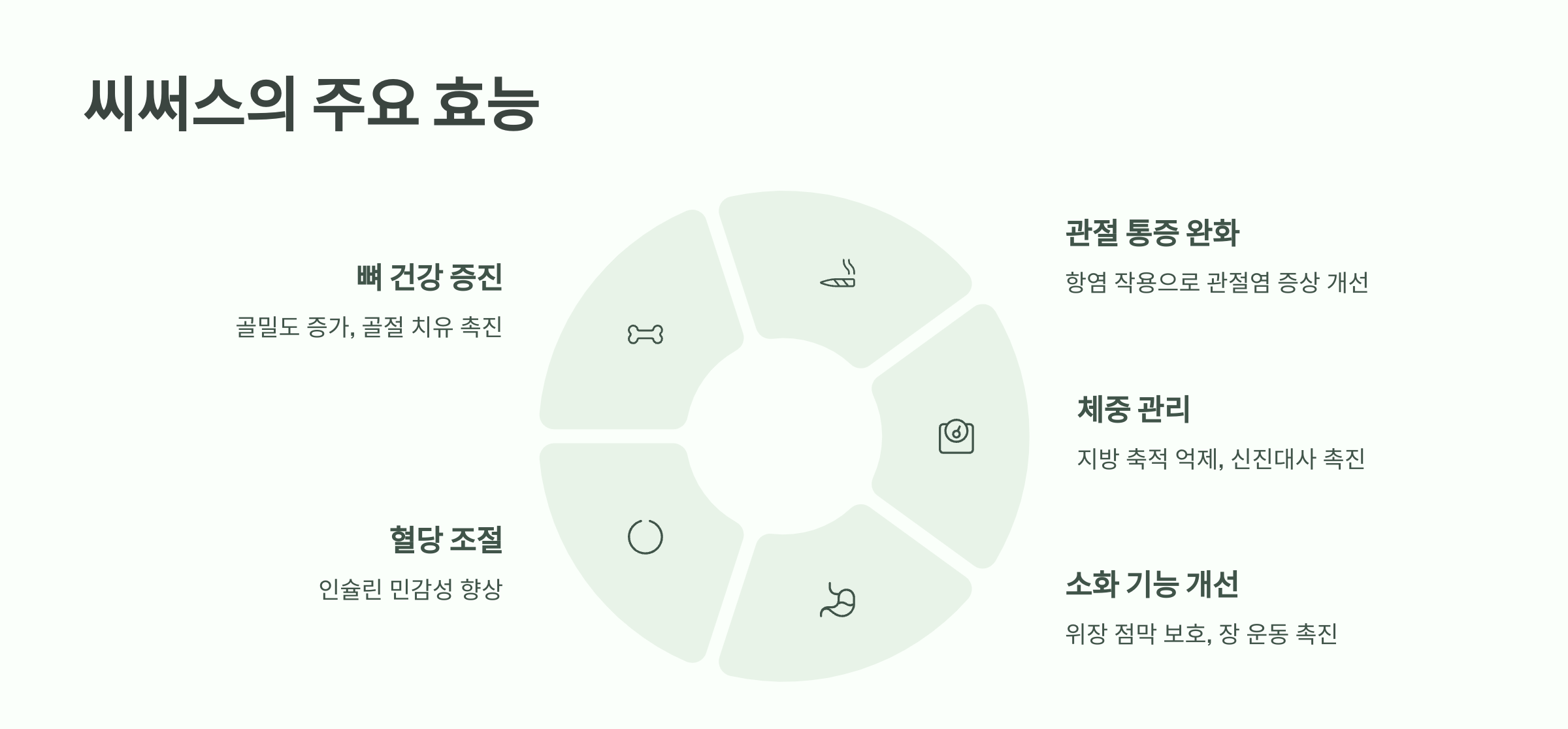 씨써스의 효능을 정리한 다이어그램