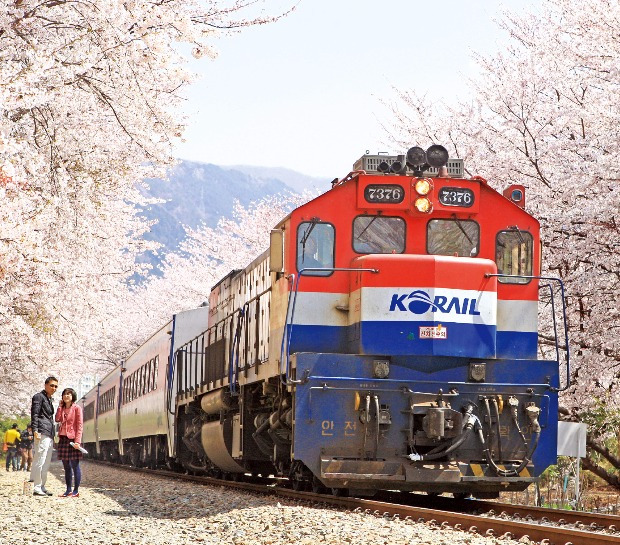 2025년 설날 기차표 예매