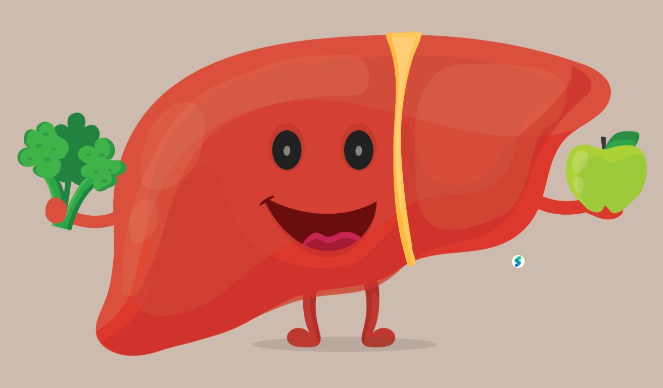 간 건강 관리 전략