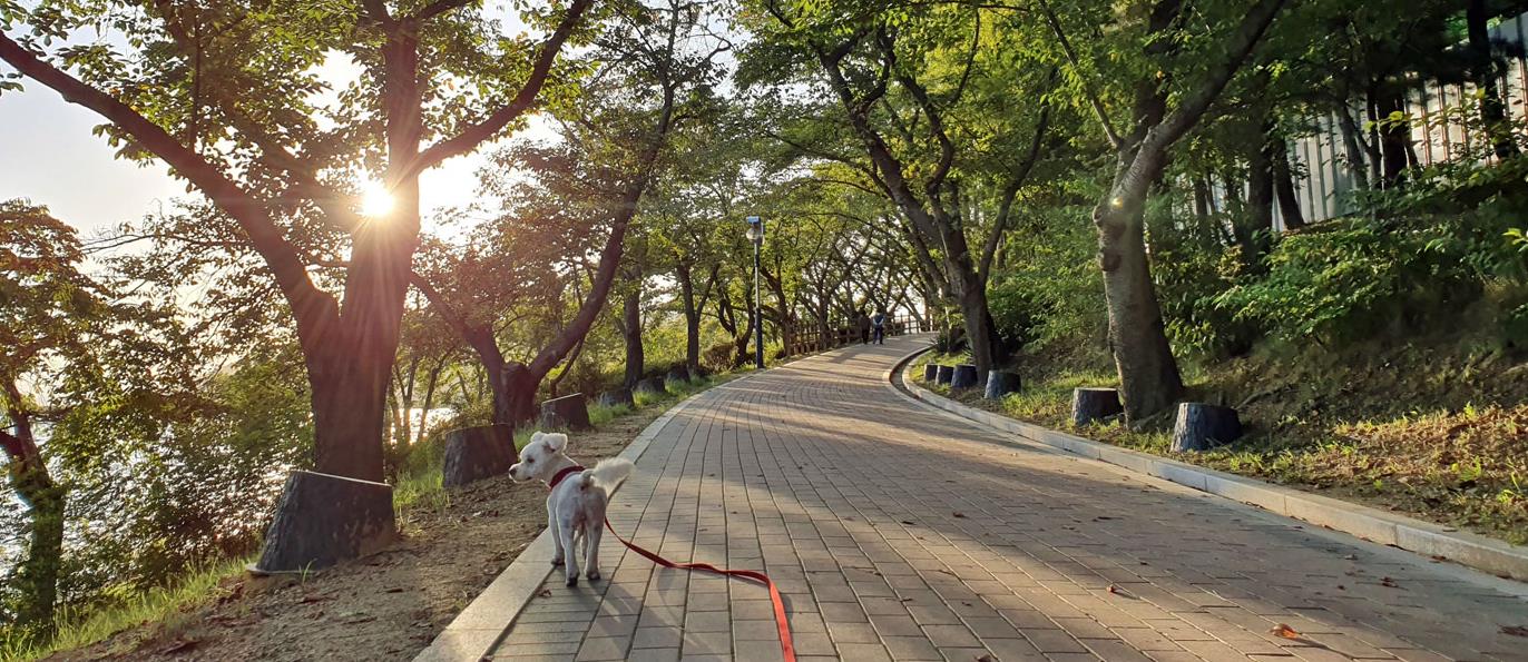 보문호반길 &amp; 보문정
