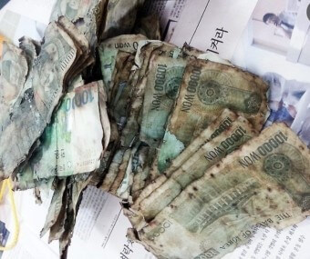 장작불을-땟나-불타다-남은-1만원권-지폐-뭉치들