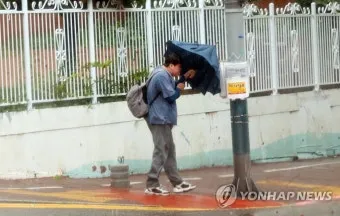 여수 돌산대교 풍속 보행 안전 난간 잡기 유의사항_7