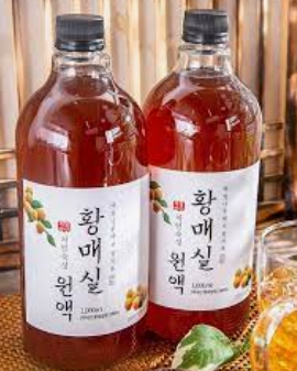 황매실과살구 구별