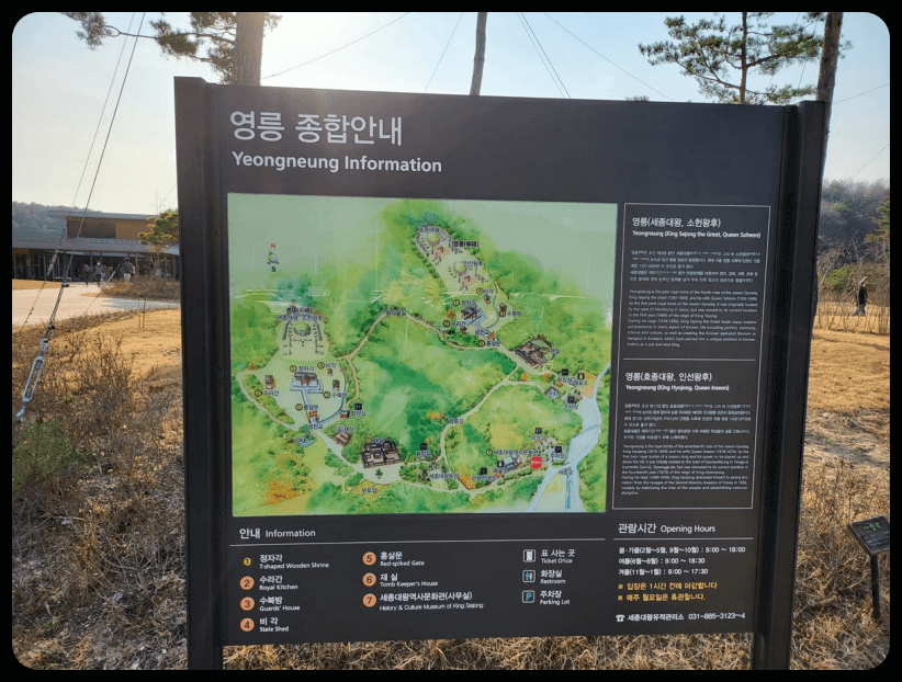 종합안니도