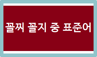 꼴찌 꼴지 중 표준어