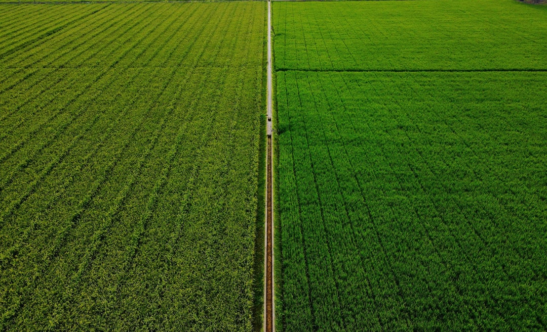 Agricultural